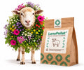 Bolsa kraft de LanoPellet®, abono natural de pellets de lana, junto a una oveja cubierta de flores