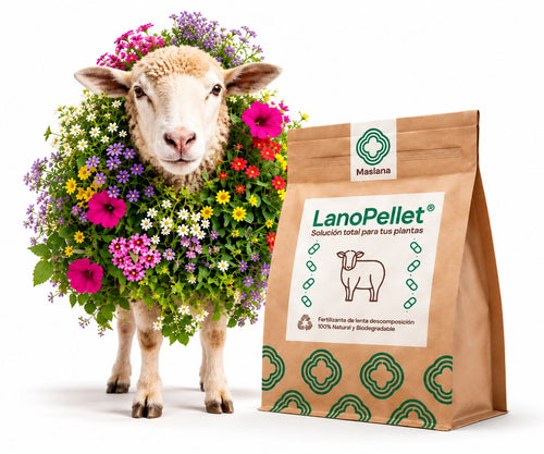 Bolsa kraft de LanoPellet®, abono natural de pellets de lana, junto a una oveja cubierta de flores